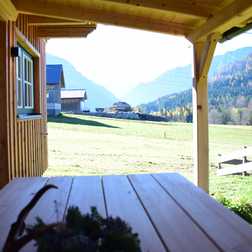 Ferienhaus Bergmann in Bad Aussee