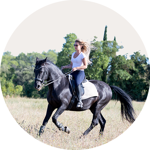 Reiten ausgehend vom Ferienhaus Bergmann in Bad Aussee