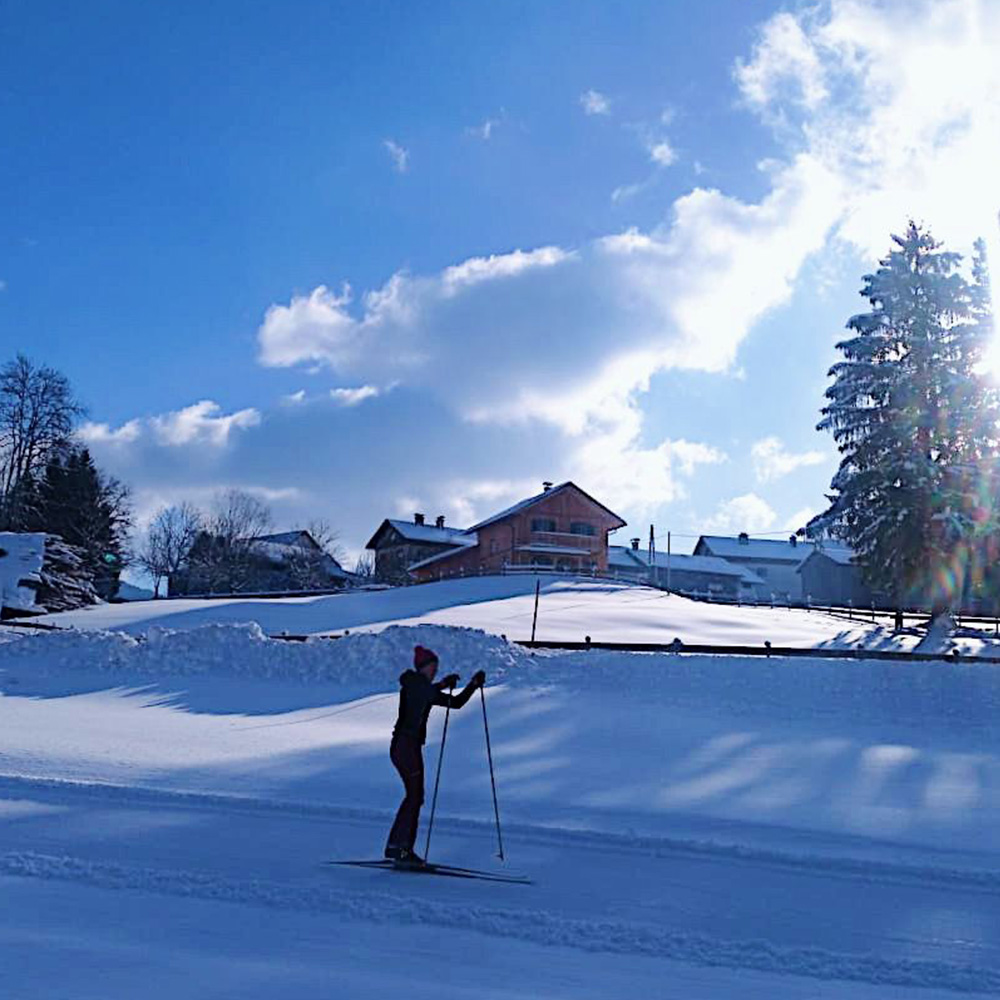 Langlaufloipe direkt am Ferienhaus Bergmann in Bad Aussee